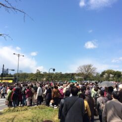 2014-04-05 10-49-01 皇居の花見解放で混雑する丸の内口<br>皇居の花見の一般開放が混みすぎて断念