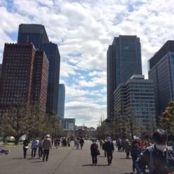 2014-04-05 10-52-10 皇居の花見解放で混雑する丸の内口<br>皇居の花見の一般開放が混みすぎて断念