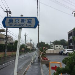 2014-06-08 12-50-43 花小金井 向きが変わってしまった東京街道の看板<br>退院後のおじいちゃんに会いに行って山梨や三社祭の土産話をした