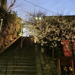 2015-03-15 18;140013湯島天満宮の階段<br>開通したばかりの上野東京ラインで上野へ