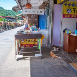 2016-08-14-10;27 台湾 新北市平渓区 十分車站近くのお店<br>十分老街から台鉄平渓線で瑞芳から九份で家庭料理、龍山寺・中正紀念堂と夜は皇廷料理を食べて士林夜市・五分埔へ