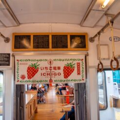 2017-06-11 14;21 和歌山駅 いちご電車の連結部<br>京都洛東から京阪で難波、天王寺のマリオット都ホテルに泊まり梅田・天神橋筋、和歌山電鉄たま電車に乗る旅