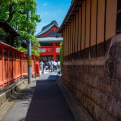 2017-06-09 10;15 伏見稲荷大社の脇道<br>京都洛西から京阪で難波、天王寺のマリオット都ホテルに泊まり梅田・天神橋筋、和歌山電鉄たま電車に乗る旅