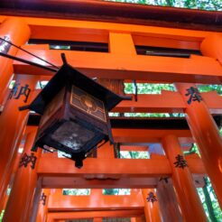 2017-06-09 09;41 伏見稲荷大社 鳥居と釣灯籠<br>京都洛西から京阪で難波、天王寺のマリオット都ホテルに泊まり梅田・天神橋筋、和歌山電鉄たま電車に乗る旅