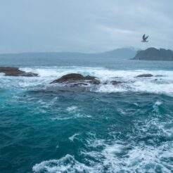 2017-08-14 11;20 宮古 浄土ヶ浜から出ている遊覧船から見る海<br>青森の弘前から五所川原でやってまれ丼、盛岡と宮古・浄土ヶ浜、田老と岩泉 龍泉洞を巡る旅