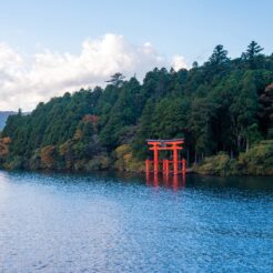 2017-10-30 15;51 箱根芦ノ湖 箱根神社の鳥居<br>箱根登山鉄道やケーブルカー・ロープウェイで芦ノ湖に泊まり、箱根駒ヶ岳、海賊船で芦ノ湖、大涌谷を回った