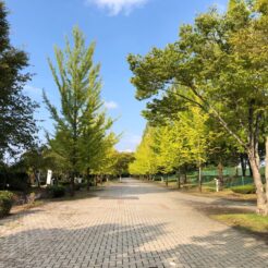 2018-09-18 15;26 小鹿野町・秩父市 秩父ミューズパーク<br>花小金井まで下道で向かい、秩父を巡って花園インターと首都高経由のドライブ