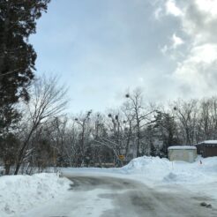 2019-02-10 14;00 白馬村 凍結した道<br>岡谷からレンタカーで松本を経由して白馬村に向かい雪道をドライブして岡谷に戻る旅