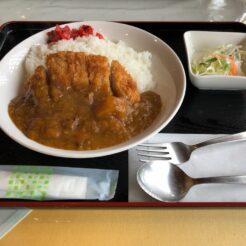 2019-04-30 13;31 柏崎市 角さんの台所 カツカレー<br>高崎駅からレンタカーで川原湯温泉・万座・志賀高原を通って上越妙高に泊まり、新潟柏崎から高崎に戻るドライブ