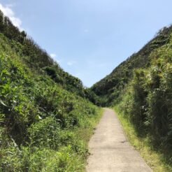 2019-05-19 13;47 勝浦市 おせんころがし 通じる道<br>有楽町で買えいたレンタカーで勝浦から南房総・白浜を回って木更津・アクアライン経由で一周するドライブ