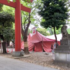 2019-05-04 14;18 新宿 花園神社 劇団唐組「ジャガーの眼」 狛犬と紅テント<br>新宿花園神社で劇団唐組の公演「ジャガーの眼」をみる