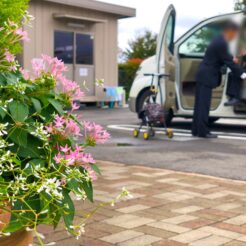 2019-10-06 14;02 小平聖地公園セントソフィア 車から降りるおばあちゃん<br>親類の集まり