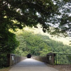 2020-08-23 16;37 群馬県安中市松井田町坂本 めがね橋とトンネル<br>南魚沼や清津峡など越後妻有アートトリエンナーレ、上越妙高に泊まりロックハート城や伊香保温泉を巡る旅