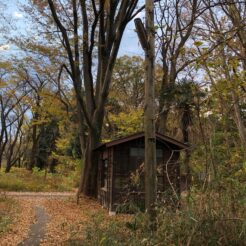 2020-11-20 16;13 清瀬 傷痍軍人東京療養所 外気舎記念館の周辺<br>おばあちゃんに衣類などを届けるために行く