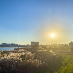 2021-11-13 15;45 六郷土手 夕陽と土手<br>実家近くの土手を歩く