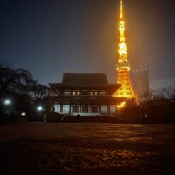 2021-12-12 18;34 芝公園 増上寺と東京タワーのライトアップ<br>クリスマスに六本木や芝公園を歩く