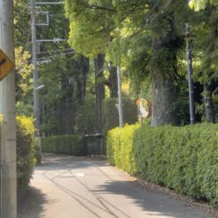 2022-05-04 11;40 東久留米 柳窪緑地保全地域の道路<br>おばあちゃんとお墓参り