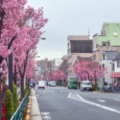 2023-03-17 11;53 東邦医大通り<br>咳で東邦医大