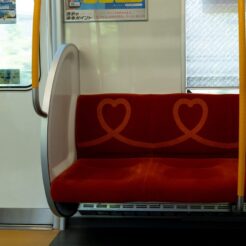 2024-06-16 14;55;53; 田無駅 西武新宿戦車内の優先席<br>新しいカメラを持って花の家に行く