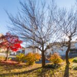 360°写真