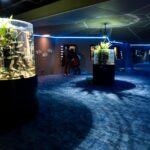 水族館