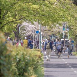 花小金井と周辺の市