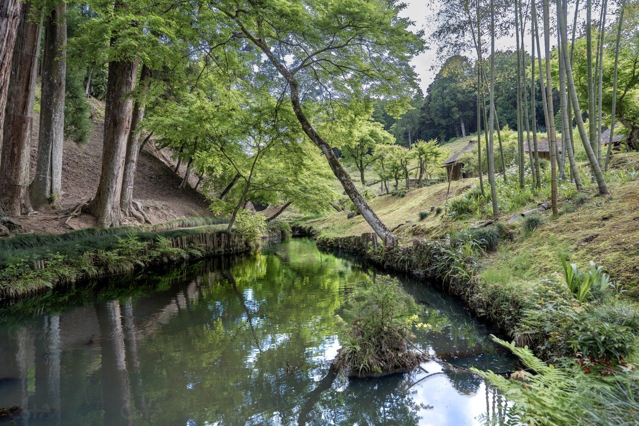 日本庭園