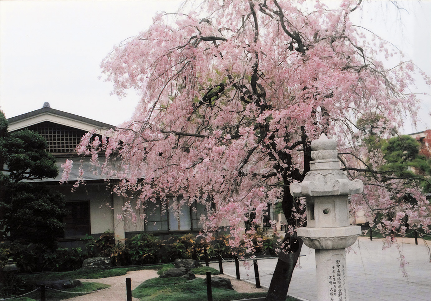 禅宗のお寺に咲く花