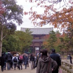 2008-11-24-10-57-36 東大寺南大門