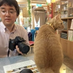 2016-08-15-14;02 台湾 台北市士林區 小貓花園 猫カフェ発祥の店と言われる場所にいるCOTA