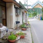 2008-06-21-15-38-01 川原湯温泉の入り口の家と猫