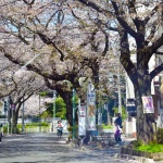 2018-03-30 11;38 小平市警察学校