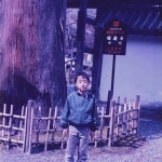 1995-03-17 瑞巌寺