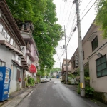 2008-06-21-15-02-17 川原湯温泉の通り（駅方面から温泉街に向けて）