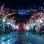 2009-01-01-19-08-57函館八幡坂からの夜景