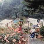 1982-06-01 山形県南陽市 双松公園のバラと坂を下るおばあちゃん