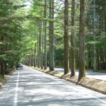 2005-05-17 12-47-21 三笠ホテルに至る軽井沢の道路