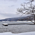 2019-02-10 16;31 大町市 木崎湖 木と桟橋