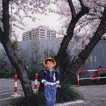 1991-04-06 小学校の入学式後に桜の前で写真を撮るCOTA