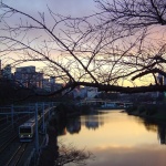 2007-02-02 16-54-05飯田橋の外堀の風景