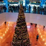 2011-11-26-17-36-09羽田空港国際線ターミナルとクリスマスツリー