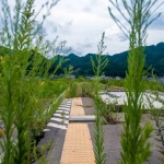 2012-08-13-12-04-42被災したJR東日本 山田線鵜住居駅