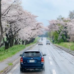 2008-04-27 13-43-20小岩井農場近くの道