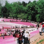 2005-05-03 埼玉県秩父市 羊山公園 芝桜の丘 満開の芝桜を見て歩く人々