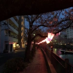 2018-04-01 18;20 大岡川桜まつり 夜景と夜桜