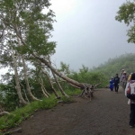 2013-08-16 12-23-23富士山 五合目と六合目の中間