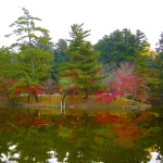 2008-11-24-10-26-14東大寺の池