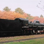 2009-11-28 小金井公園 SL・蒸気機関車