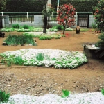 2012-04 花の家・東京街道側に咲く芝桜と椿