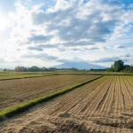 2024-09-27-15;56;17 青森県平川市 弘南鉄道弘南線 走行中の車窓から見る田畑と岩木山 津軽尾上駅〜柏農高校前駅